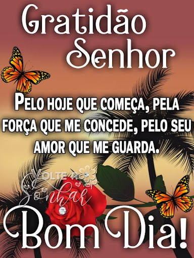 Bom dia Boa Tarde e Noite Fotos 2022