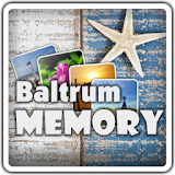 BaltrumMemory icon
