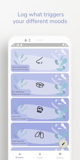 Sola Screen 3