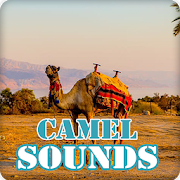 Camel Sounds Ringtone Collection