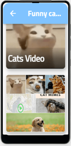 Android application Funny Cat & Dog videos screenshort