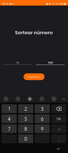 Sorteio de Números Screen 3