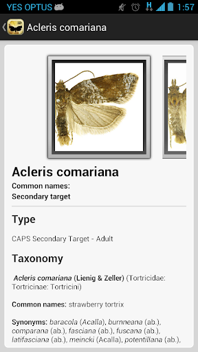 TortAI Key Screen 3