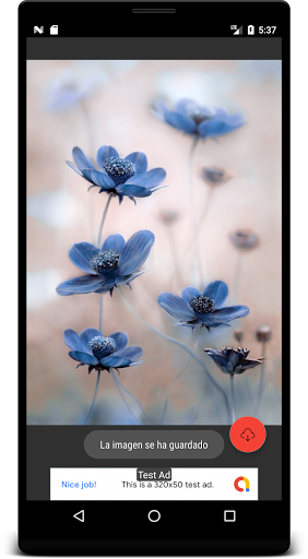 Flower images Screen 3