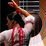 FlamencoRadioPlayer:24hours icon