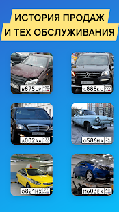 Checking cars on VIN and GOSNOMER  Screenshots 3