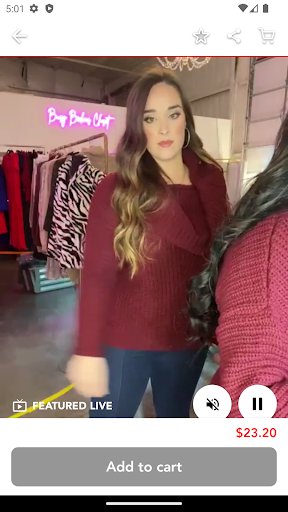 Busy Beckas Closet Screen 2