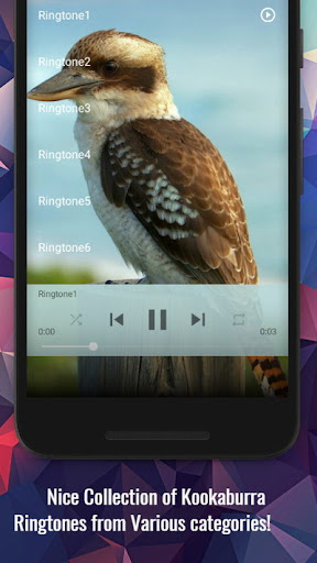 Kookaburra Sounds Screen 2