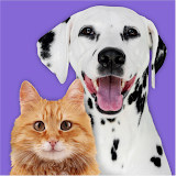 Pet Parade: Cutest Dog Pics & Cat Photo Contest icon