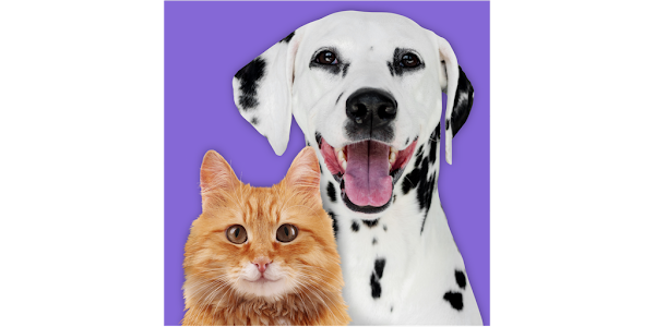 Pet Parade Cutest Pet Contest Apps On Google Play