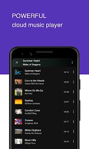Download CloudBeats  offline & cloud music player v2.2.2 (MOD, Premium Unlocked) Free For Android 4