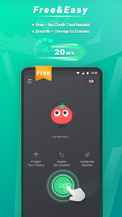Tomato VPN | VPN Proxy 3