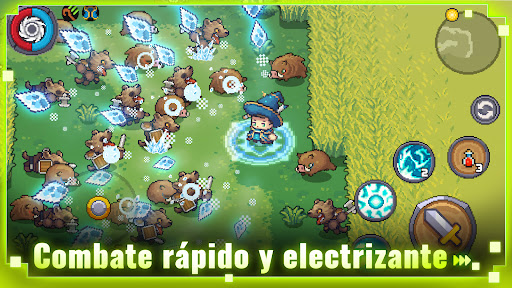 Vista previa de la aplicación