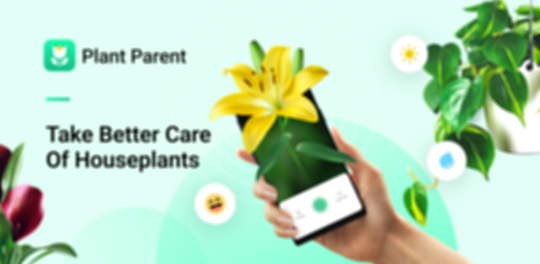 Plant Parent: Plant Care Guide
