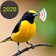 Birds Calls Sounds & Ringtones & Wallpapers Download on Windows