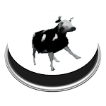 Cover Image of Download Polish Cow Meme | Sound Prank Button 52.0 APK