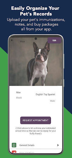 Spa Paw Boarding and Grooming