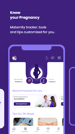 Apollo Cradle & Fertility Screen 3