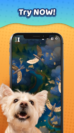 Laser Pointer－Games for Dogs