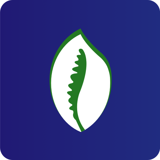 DANAYA PAY logo