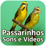 Passarinhos - Sons e Vídeos icon