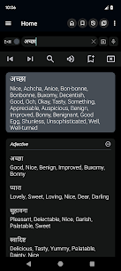 English Hindi Dictionary MOD (Premium Unlocked) 2