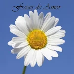 Cover Image of Télécharger Phrases d'amour et conseils  APK