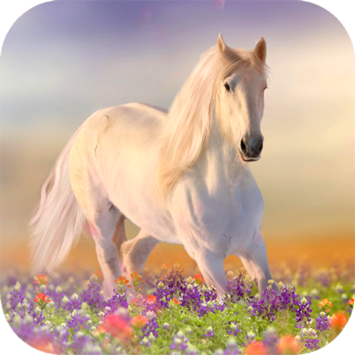 Horse Wallpaper HD