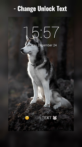 Siberian Husky Lock Screen Screen 3