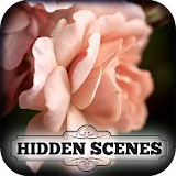 Hidden Scenes - Summer Roses icon