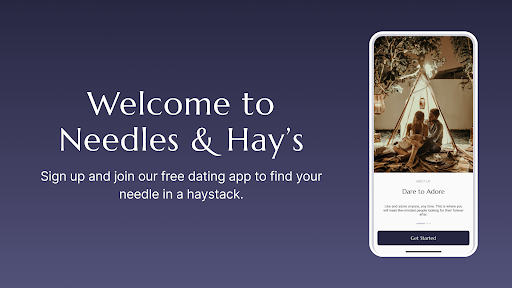 Needles and Hays Dating App 16