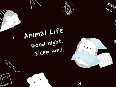 【ベストコレクション】 ��紙 イラスト ハリネズミ画像壁纸壁紙 ハリネズミ 918936