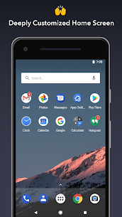 Apex Launcher Pro 1