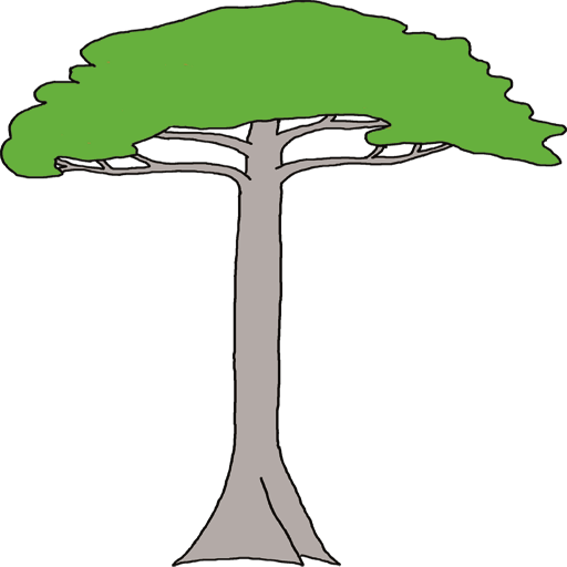 Taxonomía de Plantas Matsés logo