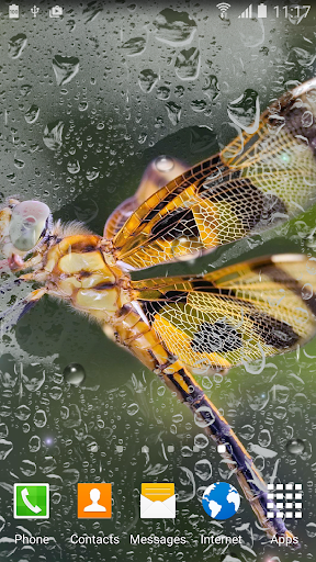 Rainy Live Wallpaper Screen 3