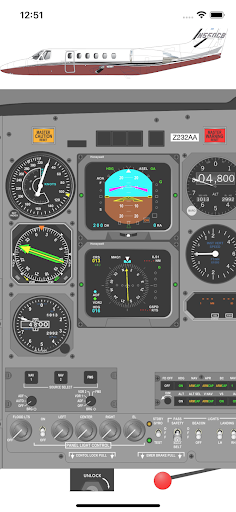 Citation II Pilot Study App Screen 3
