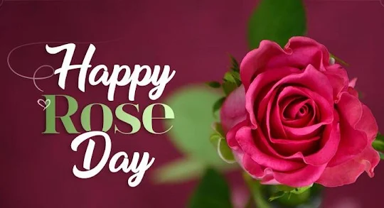 Happy Rose Day