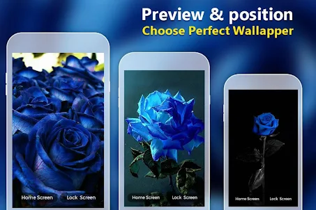 Blue Rose Live Wallpaper
