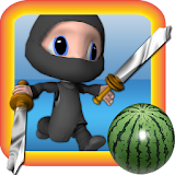 Ninja Cutting Master icon