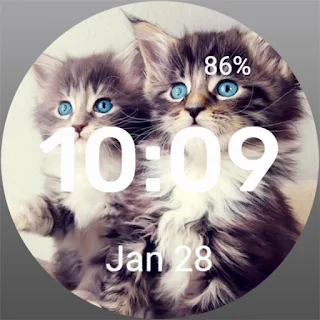 Kittens Watch Face