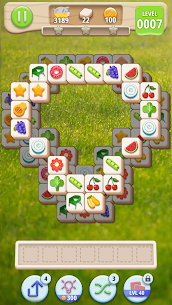 Tiledom 5