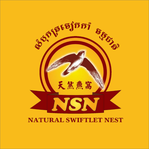 NSN logo