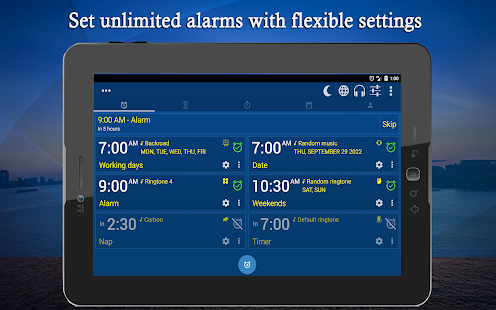 Alarm Plus Millenium Screenshot