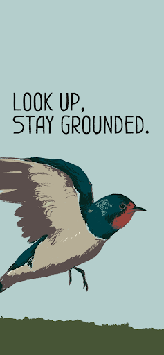Android application BC Bird Trail screenshort