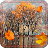 Autumn Rain LWP icon