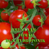 Tanam Tomat Dengan Hidroponik icon
