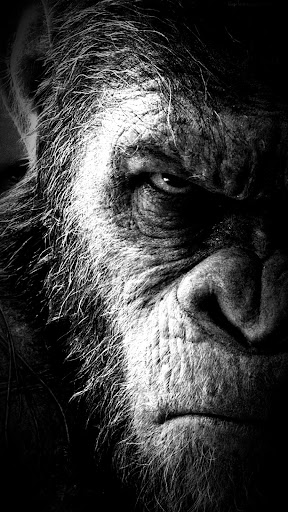 HD Wallpaper Screen 2