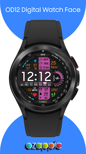 OD12 Digital Watch Face Screen 2
