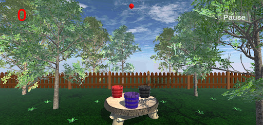 BallBasket Screen 2