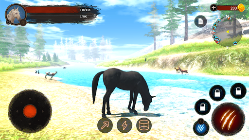 The Horse 2